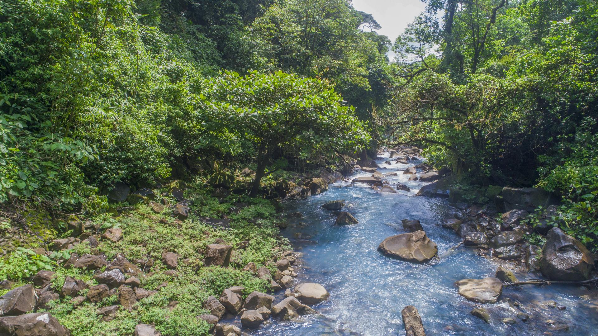 Tenorio Volcano National Park - Visit Costa Rica